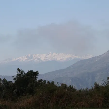 Dom wakacyjny Kallista 1 San-Giuliano